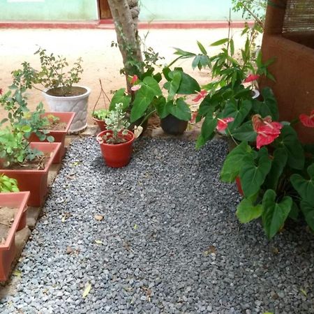 Pawansa Home Stay هاباران المظهر الخارجي الصورة