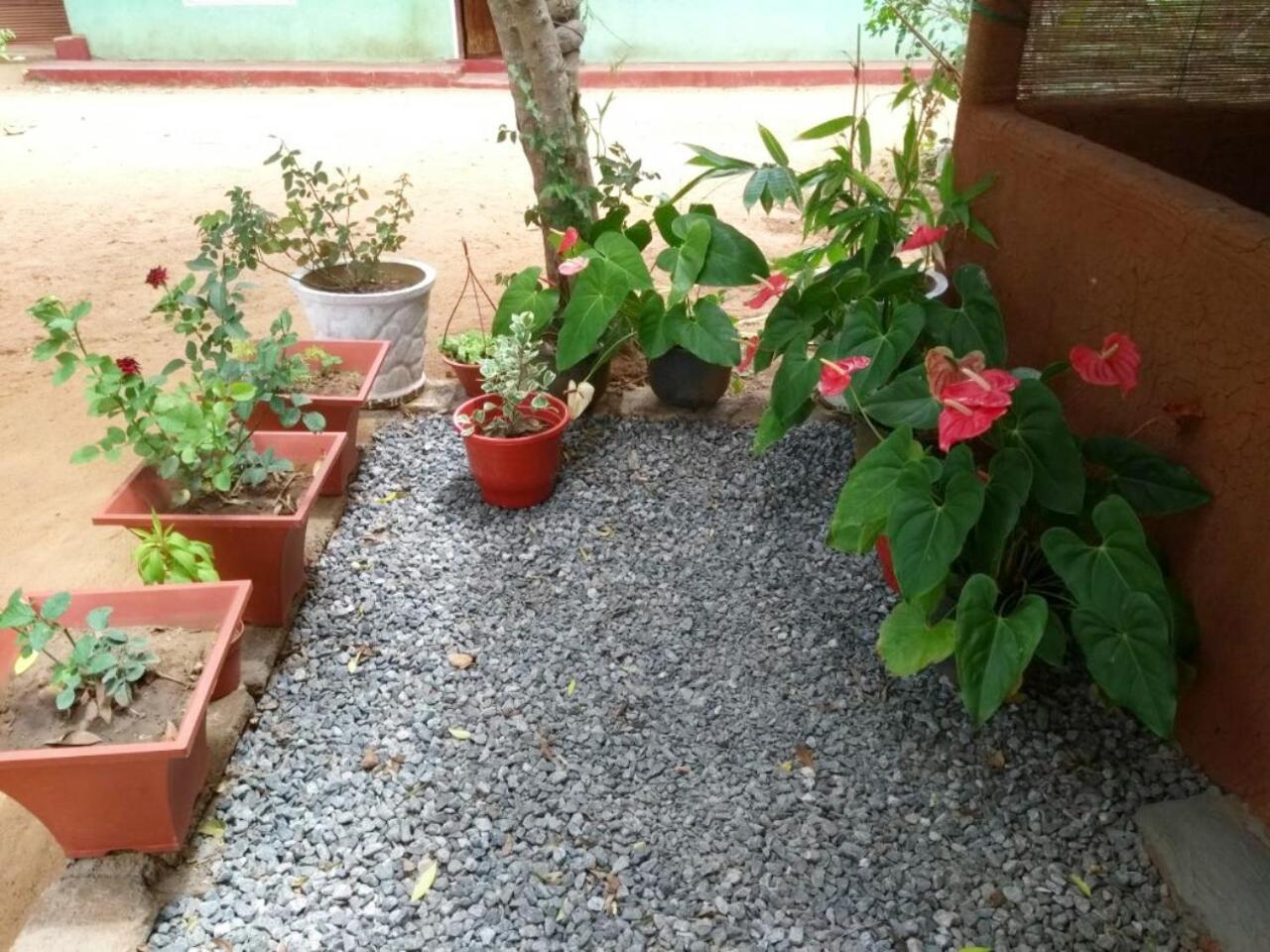 Pawansa Home Stay هاباران المظهر الخارجي الصورة