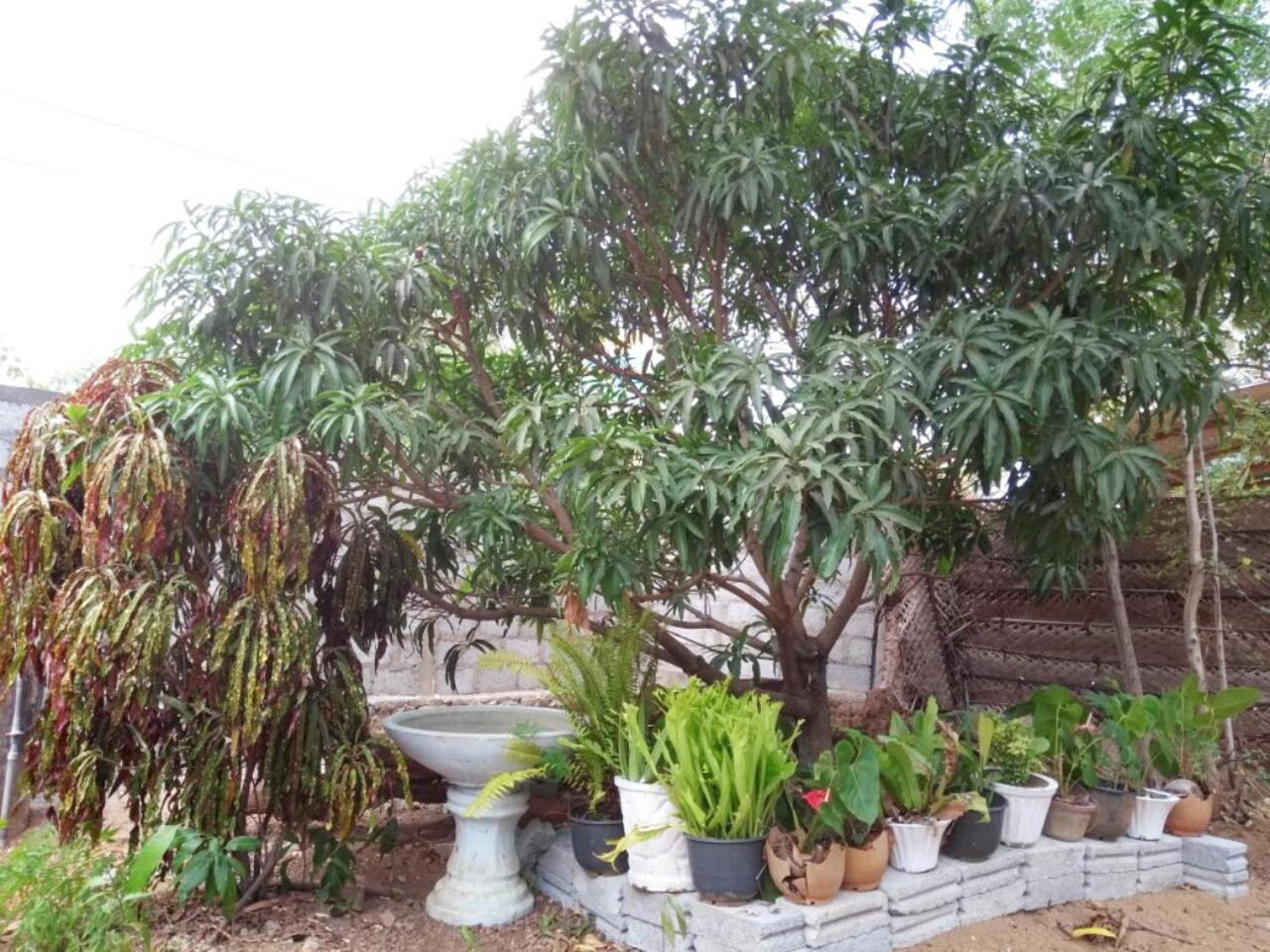 Pawansa Home Stay هاباران المظهر الخارجي الصورة